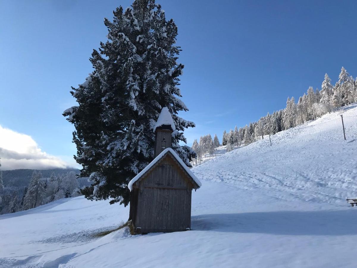 Wohlfuehlpension Kreischberg Inklusive Murau Sommergaestecard Ab 2 Naechte Sankt Georgen ob Murau Luaran gambar