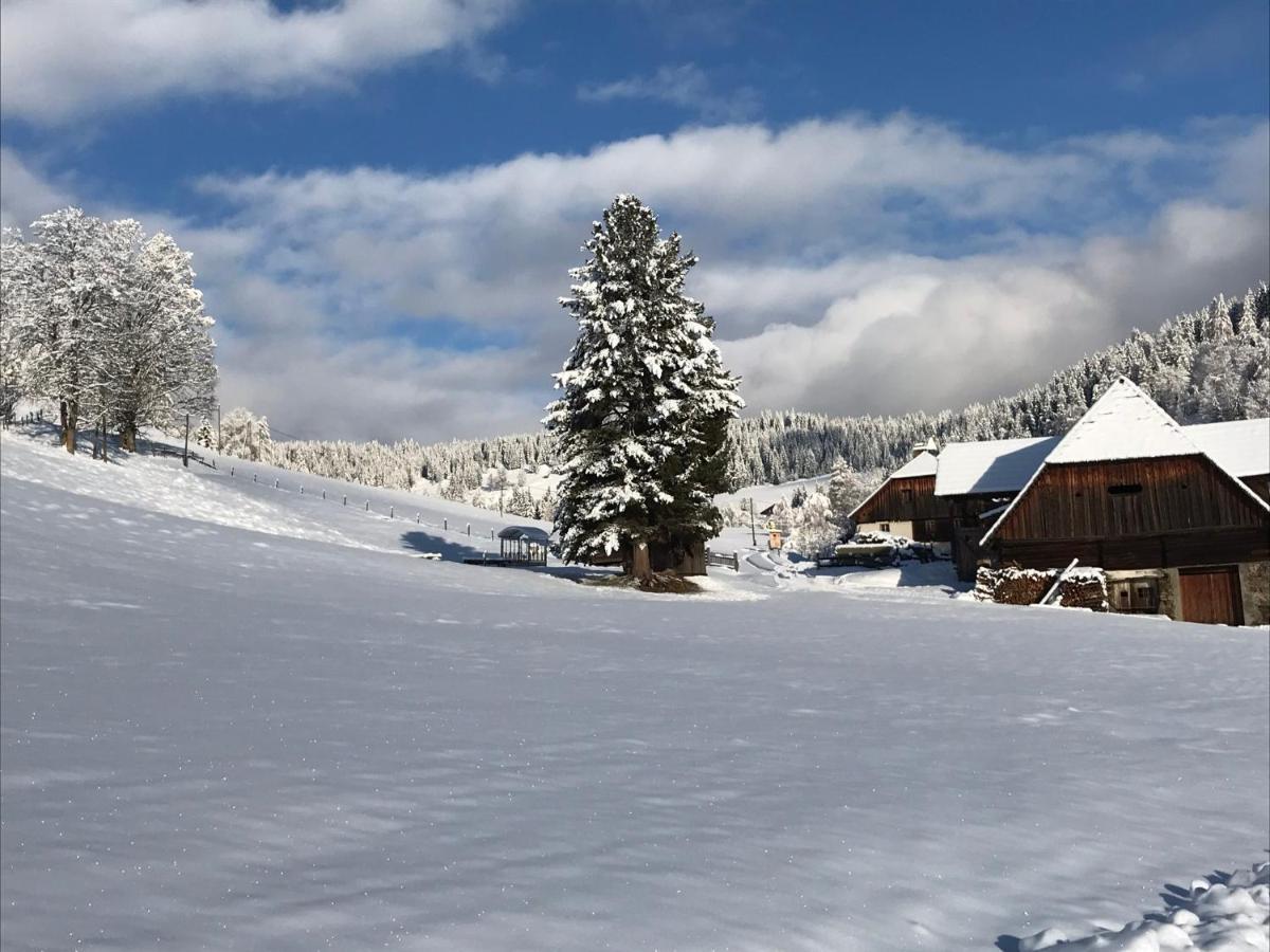 Wohlfuehlpension Kreischberg Inklusive Murau Sommergaestecard Ab 2 Naechte Sankt Georgen ob Murau Luaran gambar