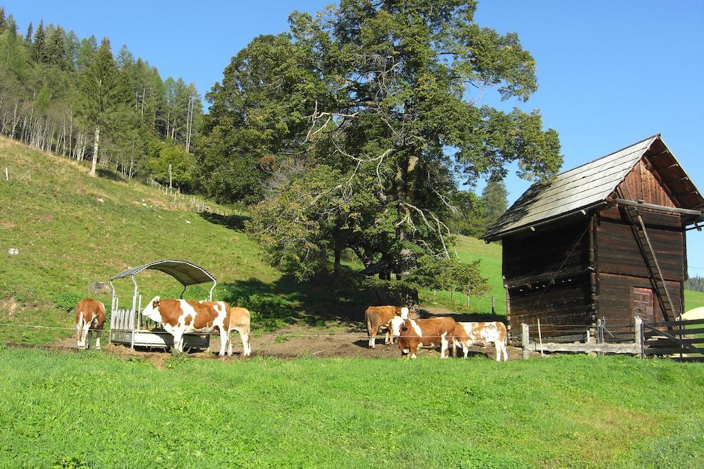 Wohlfuehlpension Kreischberg Inklusive Murau Sommergaestecard Ab 2 Naechte Sankt Georgen ob Murau Luaran gambar