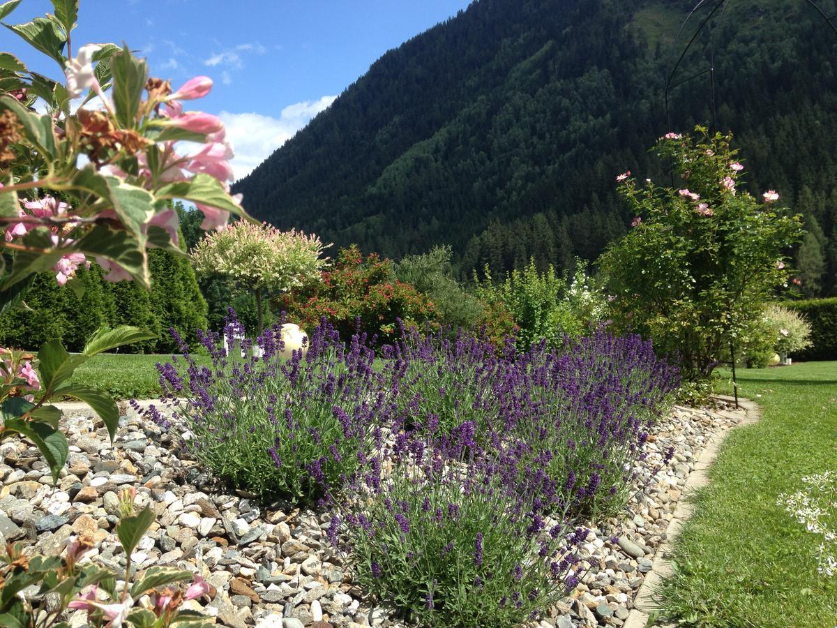 Wohlfuehlpension Kreischberg Inklusive Murau Sommergaestecard Ab 2 Naechte Sankt Georgen ob Murau Luaran gambar