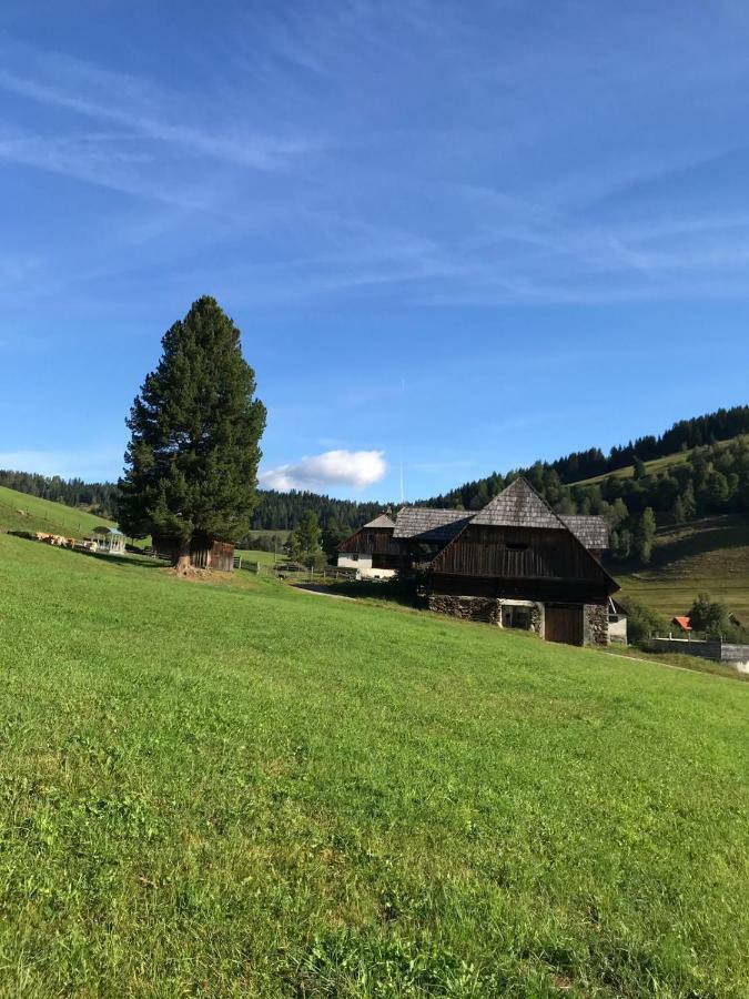 Wohlfuehlpension Kreischberg Inklusive Murau Sommergaestecard Ab 2 Naechte Sankt Georgen ob Murau Luaran gambar